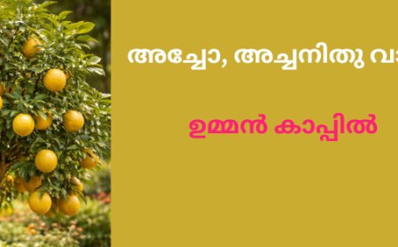  അച്ചോ, അച്ചനിതു വാങ്ങേണ്ട!  -ഉമ്മൻ കാപ്പിൽ