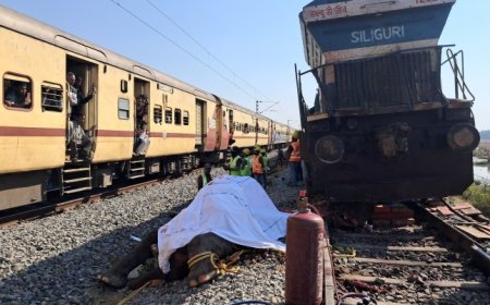 India express train kills seven elephants crossing tracks