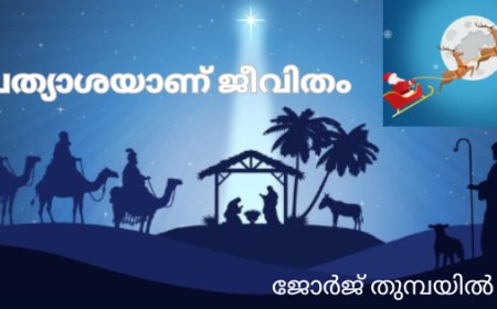 പ്രത്യാശയാണ് ജീവിതം : ജോർജ് തുമ്പയിൽ 