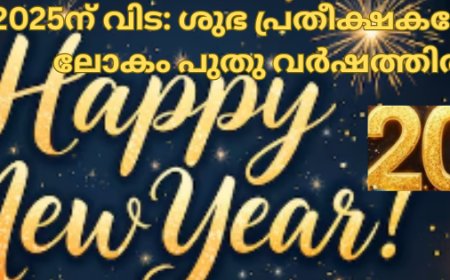 2025ന് ​വിട: ശുഭ പ്രതീക്ഷകളോടെ ലോകം പുതു വർഷത്തിൽ