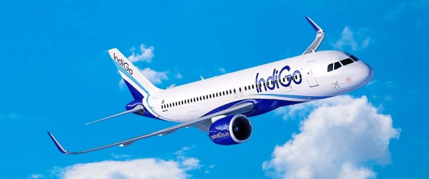 Why are IndiGo flights getting cancelled across India? Airlines' crisis explained