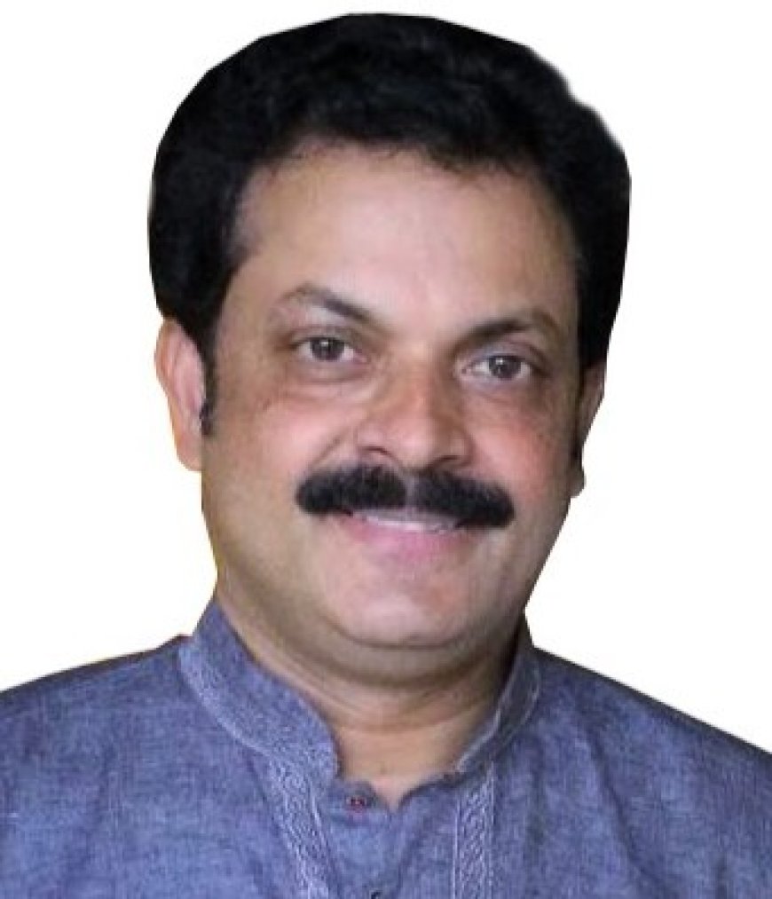 യു.എൻ സഭയിൽ വൈസ്‌മെൻ ഇൻറർനാഷനൽ അമേരിക്കൻ  പ്രതിനിധിയായി ന്യൂയോർക്കിൽ നിന്നും സിബി ഡേവിഡിനെ  തെരഞ്ഞെടുത്തു