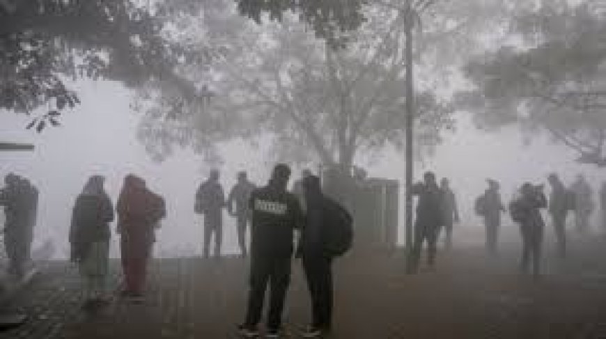 Delhi schools shift from hybrid to online classes for students up to Class V as pollution turns severe