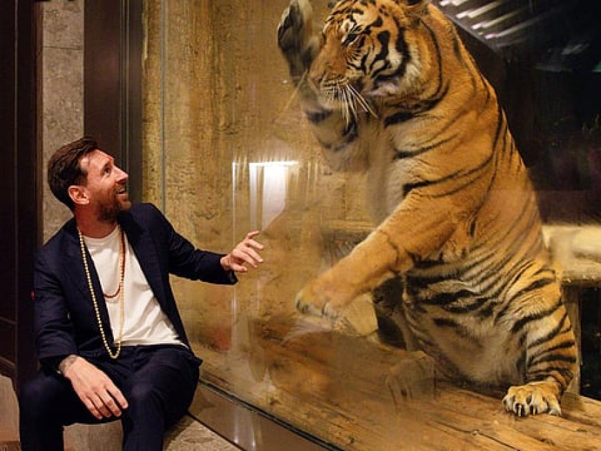 How much did Lionel Messi earn from India tour? Organiser shares details