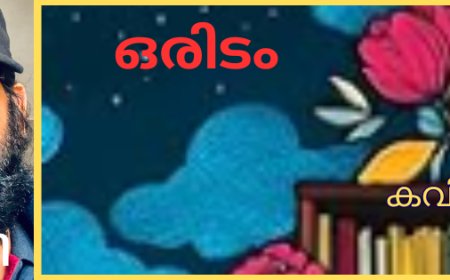 ഒരിടം: കവിത, പഞ്ഞി