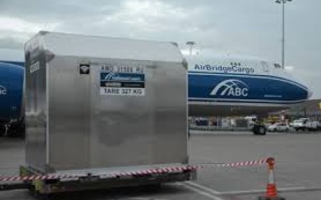 Investigation after Air India jet engine sucks in cargo container at Delhi airport