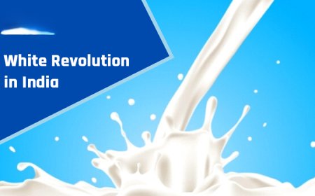 Kerala must gear up for PM Modi's second White Revolution push: Minister