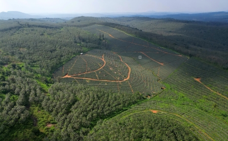 Court ruling not a setback, says minister; Sabarimala airport project slips into uncertainty