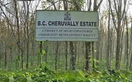 നിര്‍ദ്ദിഷ്ട ശബരിമല വിമാനത്താവളം; ചെറുവള്ളി എസ്റ്റേറ്റില്‍ സര്‍ക്കാരിന് ഉടമാവകാശമില്ലെന്ന് പാലാ സബ്കോടതി