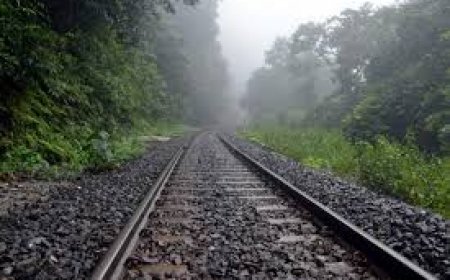 Cabinet okays 583-km high-speed TVM-Kasaragod rail line