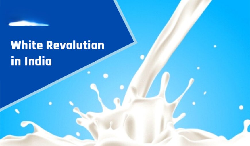 Kerala must gear up for PM Modi's second White Revolution push: Minister