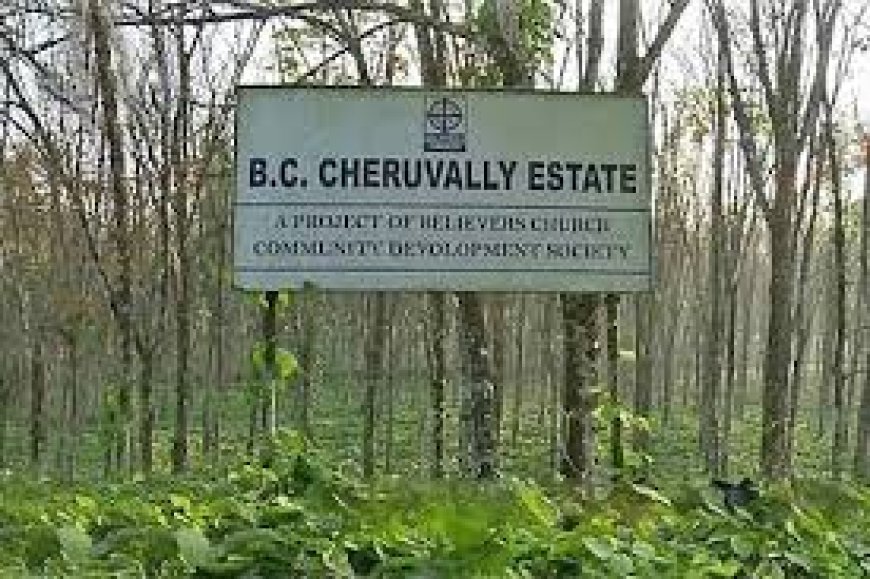 നിര്‍ദ്ദിഷ്ട ശബരിമല വിമാനത്താവളം; ചെറുവള്ളി എസ്റ്റേറ്റില്‍ സര്‍ക്കാരിന് ഉടമാവകാശമില്ലെന്ന് പാലാ സബ്കോടതി