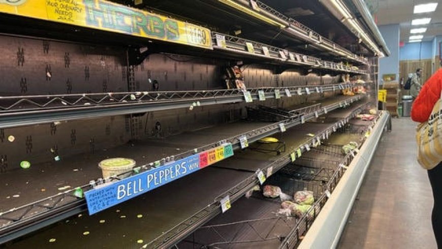 Empty supermarket shelves, flights cancelled: US gears up for heavy snow storm