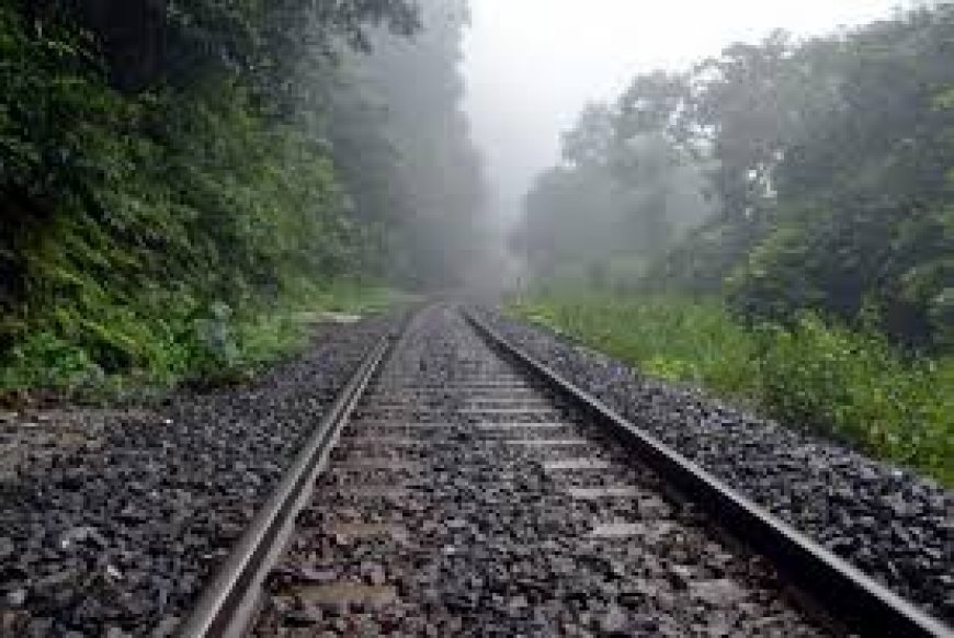 Cabinet okays 583-km high-speed TVM-Kasaragod rail line