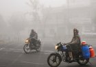 From dense fog to snow alerts: What the IMD warns for Delhi and North India from Feb 1