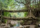 Meghalaya’s double decker living root bridge named among world’s most beautiful bridges — here’s why