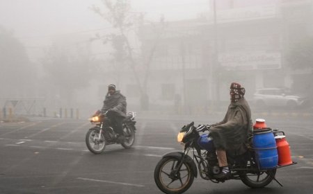 From dense fog to snow alerts: What the IMD warns for Delhi and North India from Feb 1