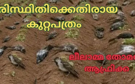 പരിസ്ഥിതിക്കെതിരായ കുറ്റപത്രം: ലീലാമ്മ തോമസ്, ആഫ്രിക്ക
