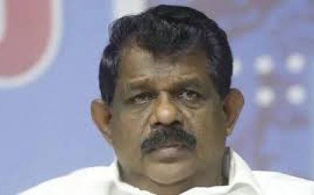 തൊണ്ടിമുതല്‍ തിരിമറി കേസ്: ആന്റണി രാജുവിന്റെ ശിക്ഷ മരവിപ്പിച്ചു; അയോഗ്യത നിലനില്‍ക്കും