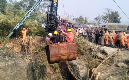 16 dead, many feared trapped after blast in Meghalaya's 'illegal' coal mine