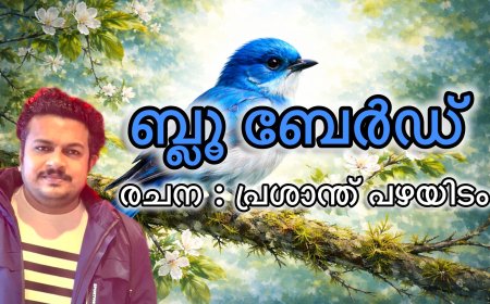 ബ്ലു ബേർഡ്,  രചന : പ്രശാന്ത് പഴയിടം