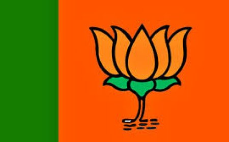 കേരളത്തിൽ ബിജെപിയുടെ മറ്റു സംസ്ഥാനങ്ങളിലെ ക്രിസ്ത്യൻ എംഎൽഎമാർ പ്രചാരണത്തിന് വീടുകയറും