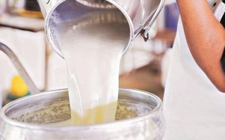 Four die of Anuria due to milk adulteration in Andhra