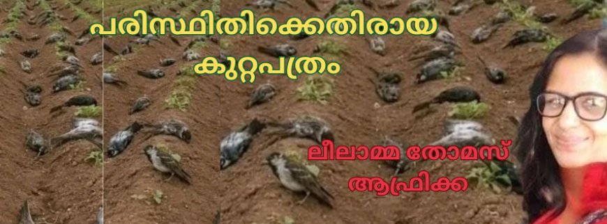 പരിസ്ഥിതിക്കെതിരായ കുറ്റപത്രം: ലീലാമ്മ തോമസ്, ആഫ്രിക്ക