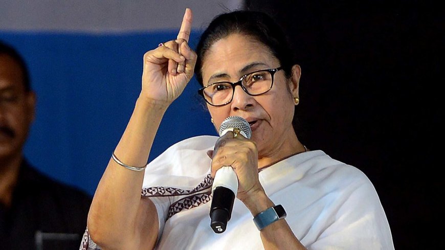 Mamata Banerjee's argument in SC on SIR evokes mixed reactions in West Bengal