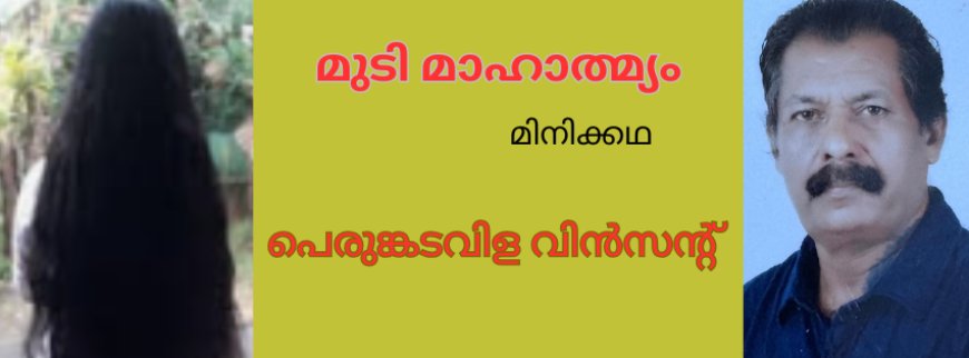 മുടി മഹാത്മ്യം: മിനിക്കഥ,  പെരുങ്കടവിള വിൻസന്റ് 