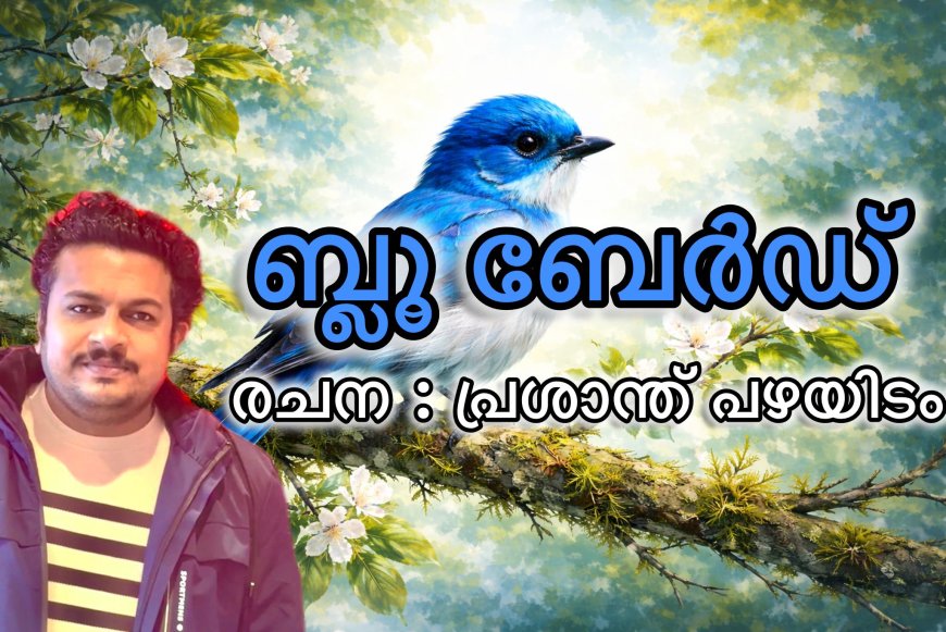 ബ്ലു ബേർഡ്,  രചന : പ്രശാന്ത് പഴയിടം