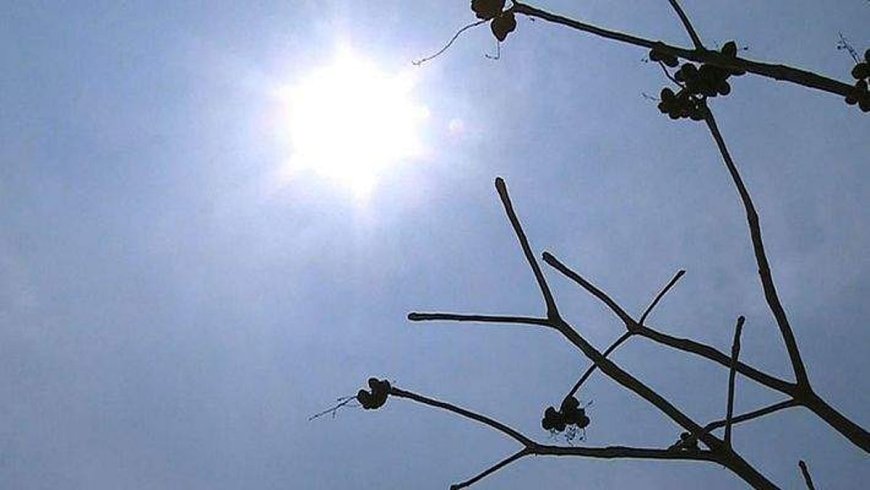 കടുത്ത ചൂട്: സംസ്ഥാനത്ത് തൊഴിലാളികളുടെ ജോലിസമയം പുനഃക്രമീകരിച്ചു