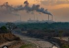 Cardiology experts  call for stronger protections against environmental hazards