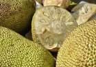10 ചക്ക വിഭവങ്ങൾ: 10 jackfruit recipes from Kashmir to Kerala