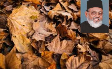 Don't burn leaves, bury them