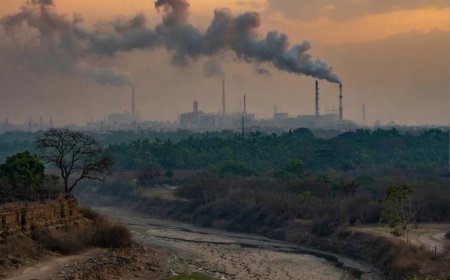 Cardiology experts  call for stronger protections against environmental hazards