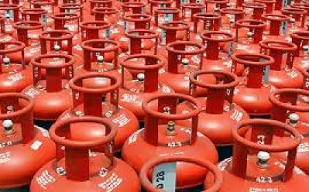 LPG bookings decline as consumer panic eases, raids on to check hoarding and black marketing
