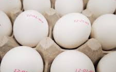 മുട്ടകളിൽ എക്സ്പയറി ഡേറ്റ് പ്രിന്റ് ചെയ്യണമെന്ന് ഉത്തർപ്രദേശ് സർക്കാർ