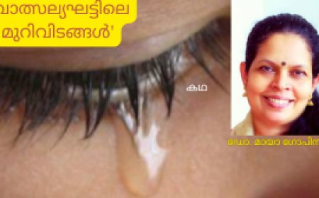 വാത്സല്യഘട്ടിലെ മുറിവിടങ്ങൾ:  കഥ