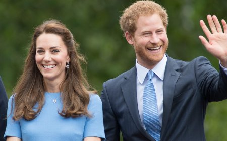 Prince Harry used 3 words to describe Kate Middleton when they first met