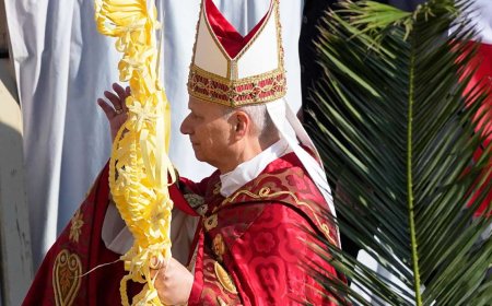 In Palm Sunday Mass message, Pope Leo XIV rejects claims that God justifies war