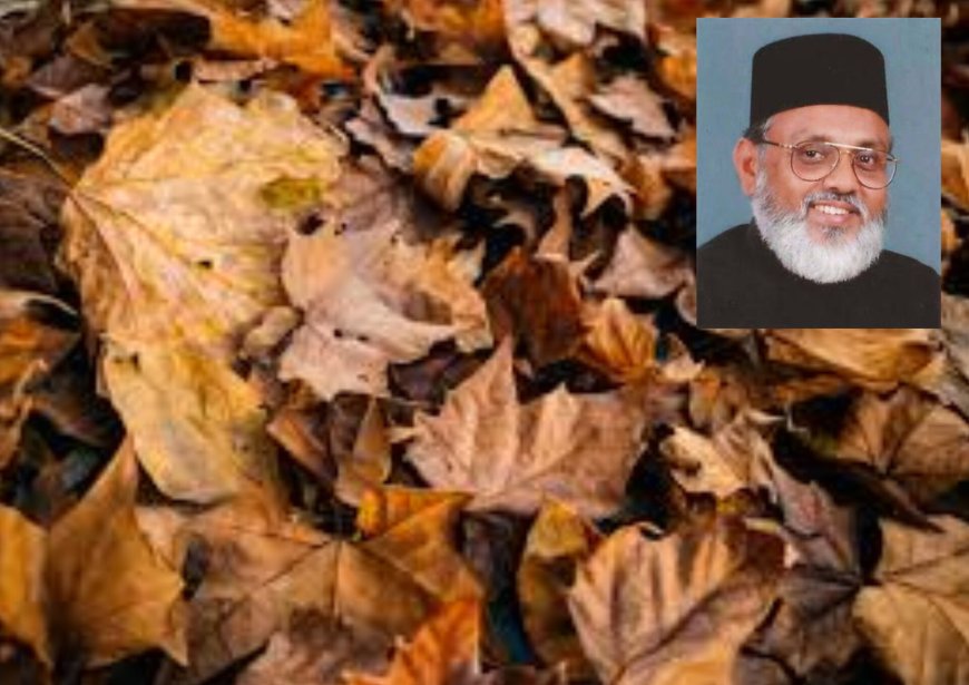 Don't burn leaves, bury them