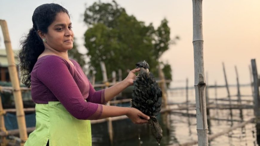 From coast to enterprise, woman entrepreneurs steering change in fisheries