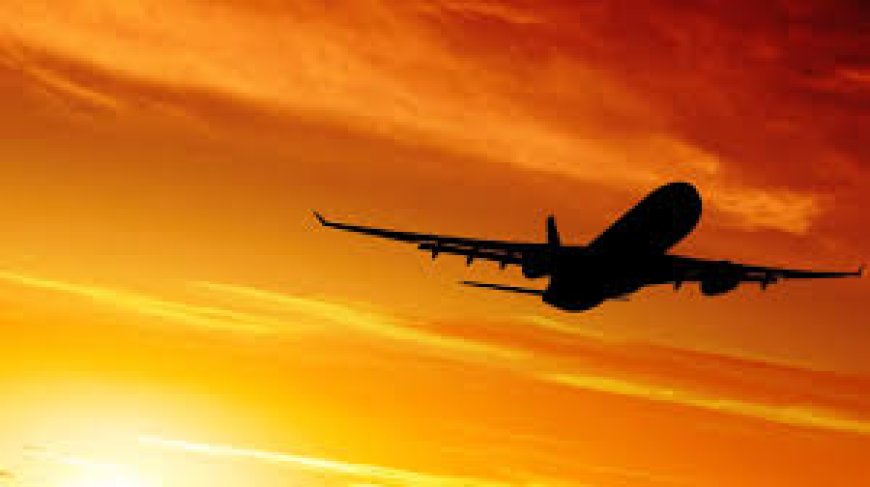 ഒമാനിൽ വീട്ടുജോലിക്കായെത്തി  കുടുങ്ങിയ ആലപ്പുഴ സ്വദേശിനിക്ക് മോചനം