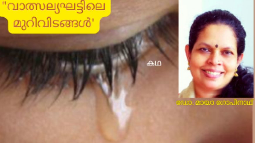 വാത്സല്യഘട്ടിലെ മുറിവിടങ്ങൾ:  കഥ