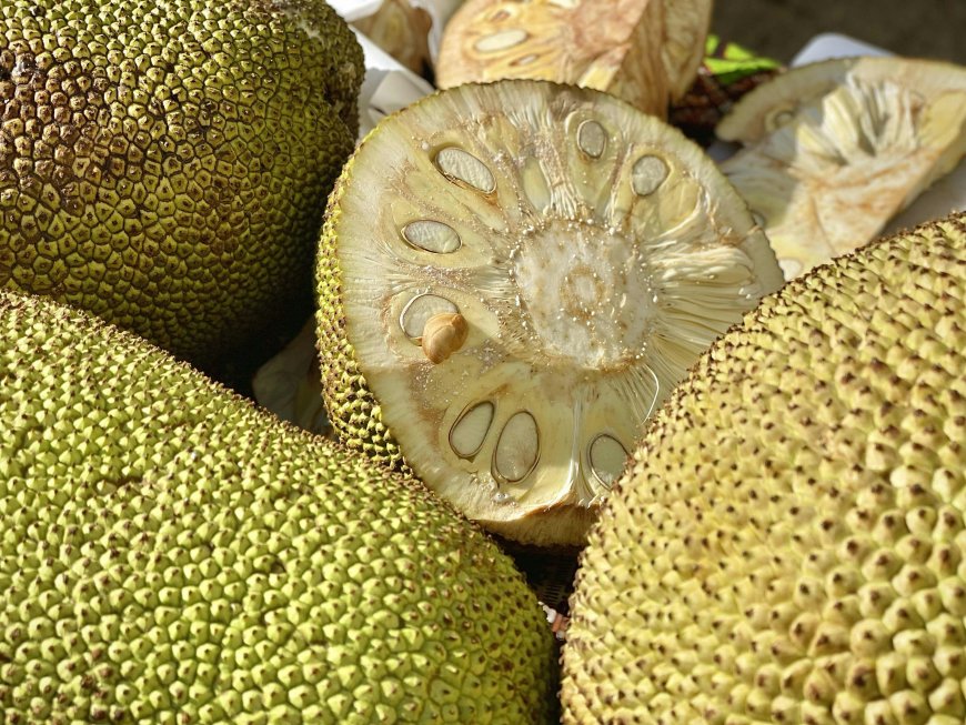 10 ചക്ക വിഭവങ്ങൾ: 10 jackfruit recipes from Kashmir to Kerala