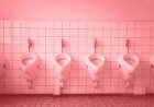 England faces health crisis as public toilet shortage leaves people suffering