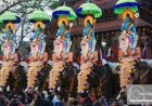 Thrissur Pooram to be held without fireworks display