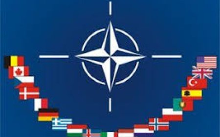 Trump suggests US is considering leaving ‘paper tiger’ NATO