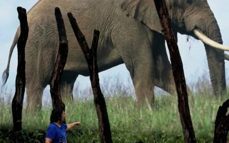 The Blitonist manifesto